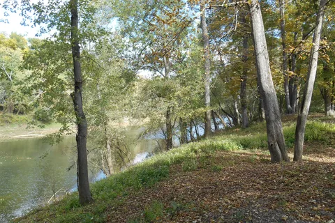 Whitney Lane RV Park