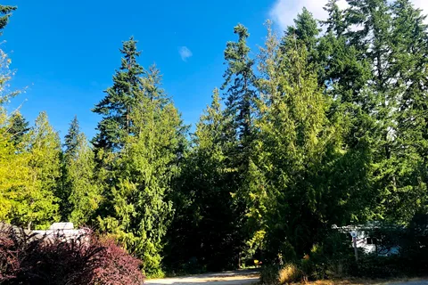 Bayside Campground and RV Park