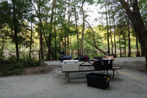 Princess Ann - Lumber River State Park