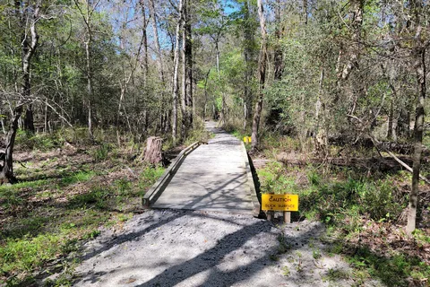 Princess Ann - Lumber River State Park