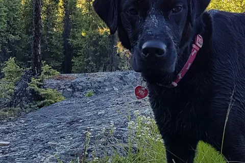 Reid Lake Territorial Park
