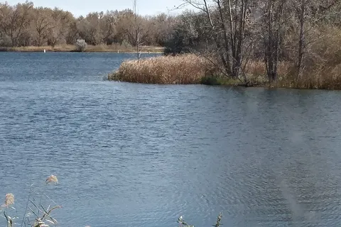 Bridgeport State Recreation Area