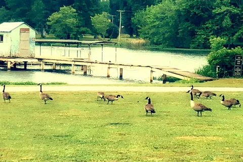 Harts RV Park Campground