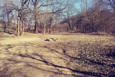 Woolum Camping Area - Buffalo National River