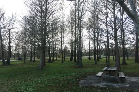 Bayou Segnette State Park