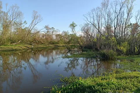 Bayou Segnette State Park