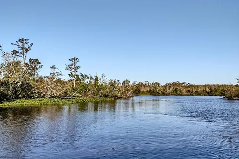 Bayou Segnette State Park