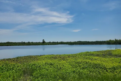 Bayou Segnette State Park