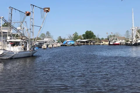 Bayou Segnette State Park