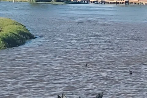 Lake Conroe RV and Camping Resort