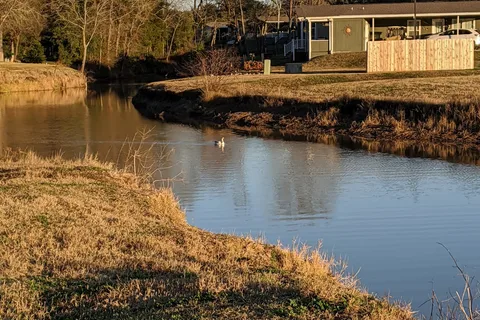 Lake Conroe RV and Camping Resort