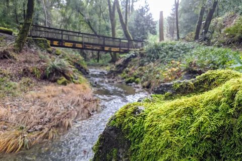 Orr Hot Springs Resort