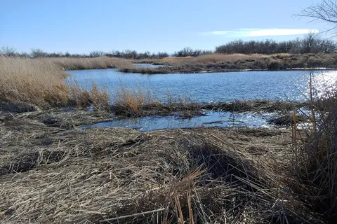 Beda Lake Public Access