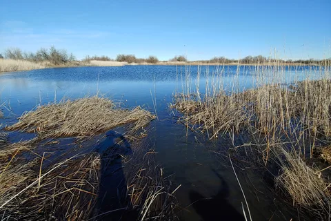 Beda Lake Public Access