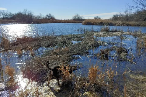 Beda Lake Public Access