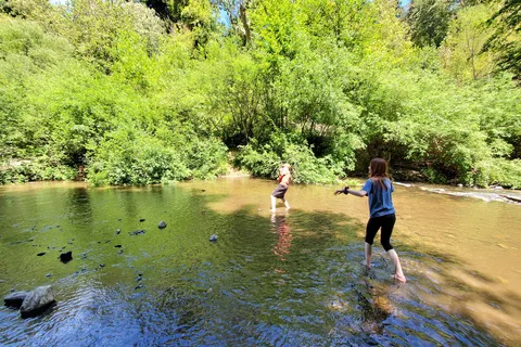 Santa Cruz Redwoods RV Resort