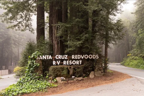 Santa Cruz Redwoods RV Resort