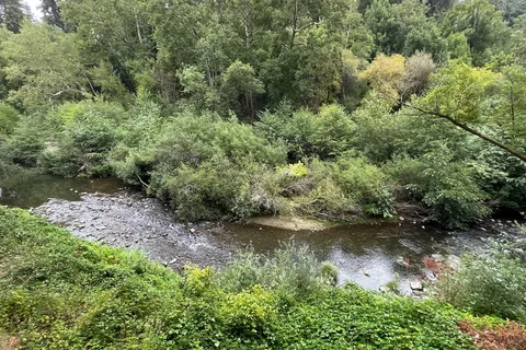 Santa Cruz Redwoods RV Resort