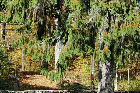 Interlake RV Park & Campground