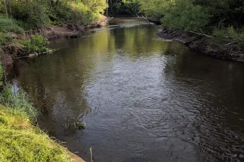 Plantation Park