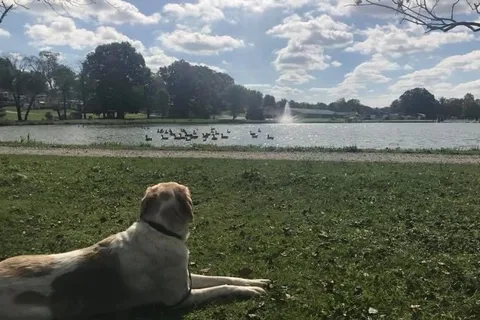 Plantation Park
