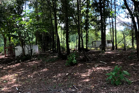 Foothills Family Campground