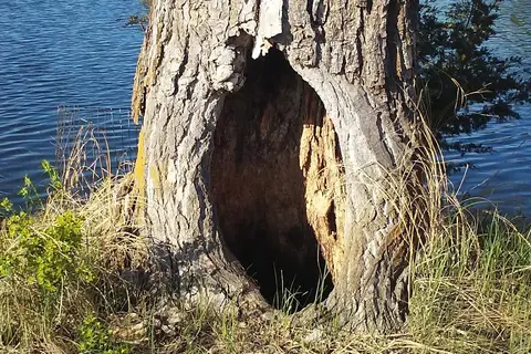 Burke Lake Recreation Area