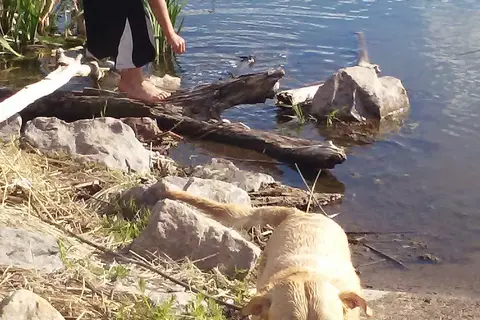 Burke Lake Recreation Area