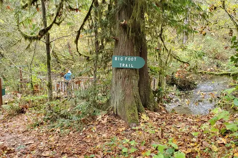 Dow Creek RV Resort