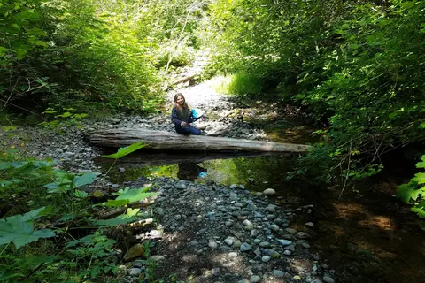 Dow Creek RV Resort