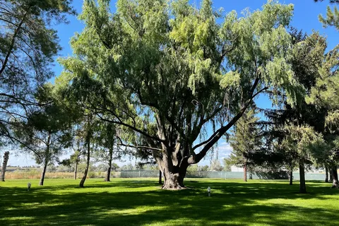 Village Of Trees RV Resort At Travel Stop 216