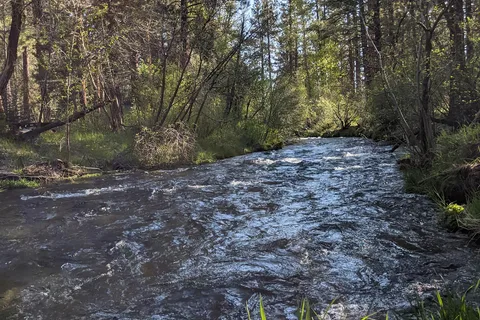 Hat Creek Resort and RV Park