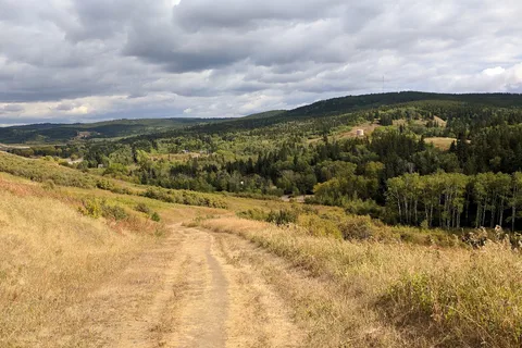 Old Baldy - Cypress Hills Interprovincial Park - Alberta