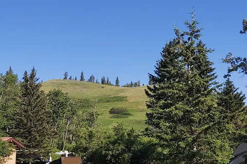 Old Baldy - Cypress Hills Interprovincial Park - Alberta