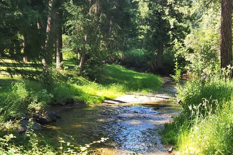 Woodland RV Park