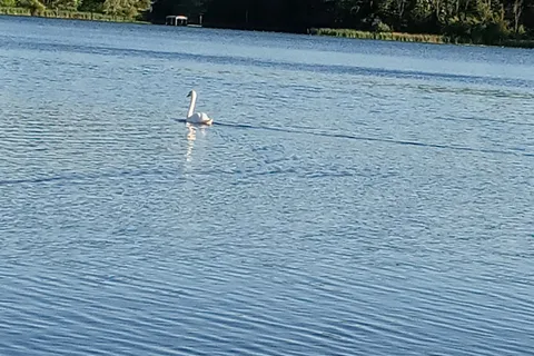 Scalley Lake Park Campground and Cabins