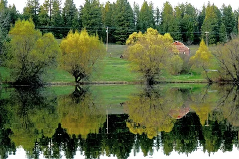 Blue Lake RV Resort