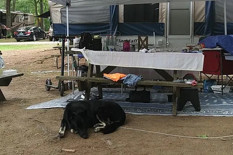 Malletts Bay Campground