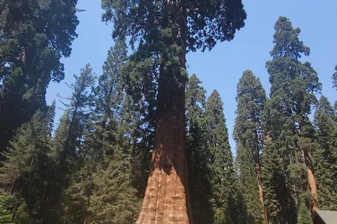 Visalia / Sequoia National Park KOA Journey