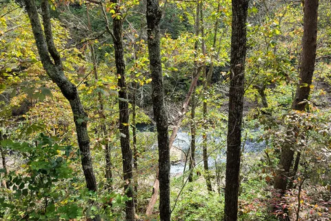 Main - DeSoto State Park
