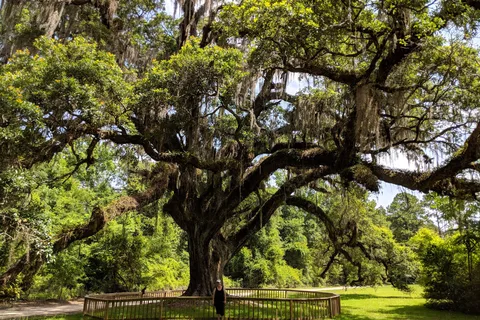 Apalachee - Blakeley State Park