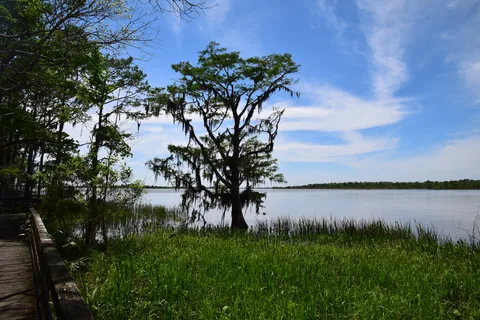 Apalachee - Blakeley State Park
