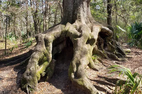 Apalachee - Blakeley State Park