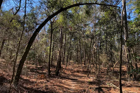 Apalachee - Blakeley State Park
