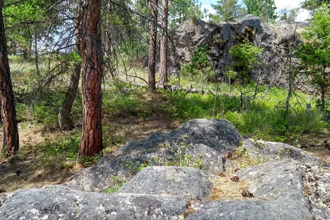 Ellison Provincial Park