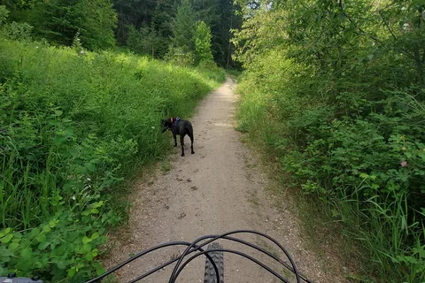 Ellison Provincial Park