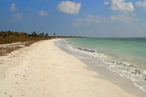 Royal Palm RV Park