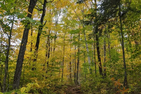 Molly Stark State Park