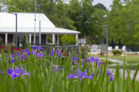 Outback Springs RV Resort