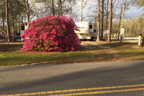 Outback Springs RV Resort